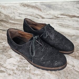 Earthies Women's Santana Wingtip Oxford Black Suede Earthies